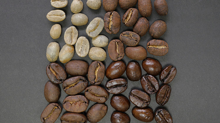 langage_java_histoire_caractéristiques-popularite